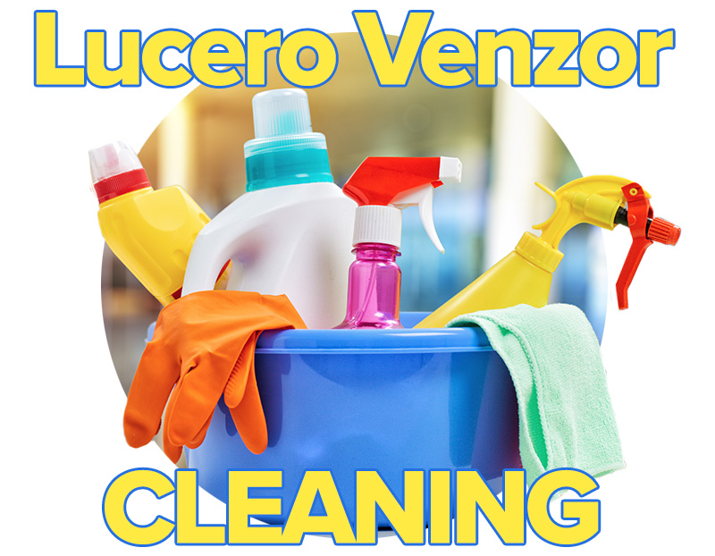 Cleaning Services - Lucero Venzor